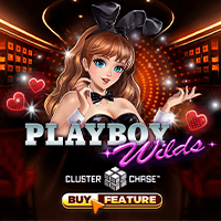 PLAYBOY HOANG DÃ game icon